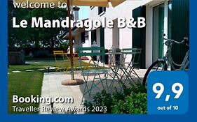 Le Mandragole B&B